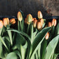 Tulips, Tea and Cake!